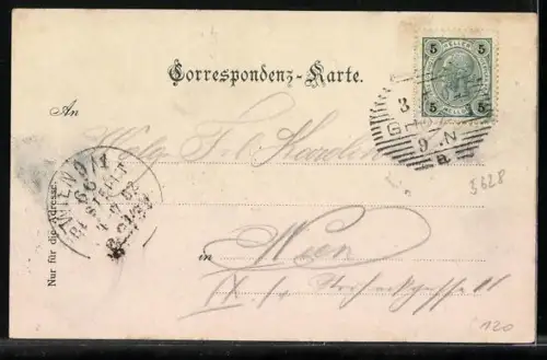 AK Graz, Ortsansicht mit den drei Brücken