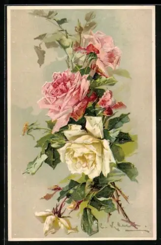 Künstler-AK Catharina Klein: Rosa und weisse Rosenblüten mit grünen Blättern