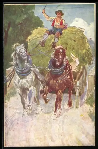 AK Bauer lenkt ein Pferdegespann während der Heuernte