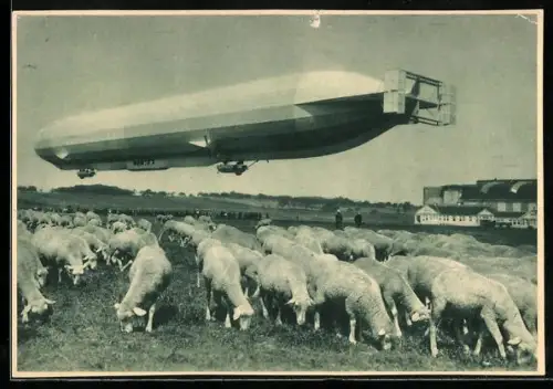 AK Luftschiff Schwaben über Schafherde, Zeppelin