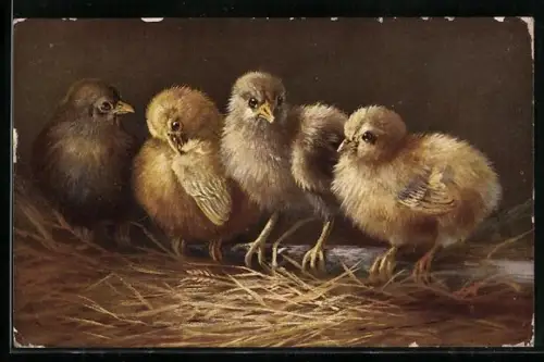 Künstler-AK Küken im Stall auf einer Sprosse