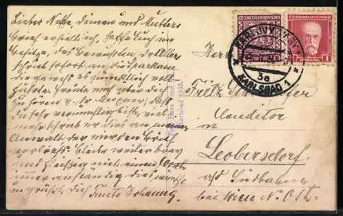 AK Karlsbad, Gasthof Freundschaftssaal mit angrenzendem Wald