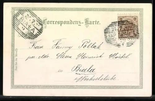 Lithographie Karlsbad, Cafe Elefant, Alte Wiese, Blick vom Stadtpark nach Königsvilla, Sprudel, Marktbrunnen