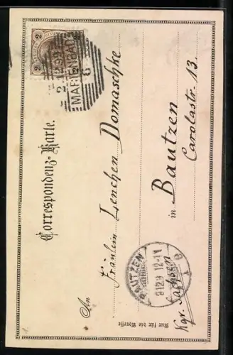 AK Marienbad, Ortsansicht aus der Vogelschau