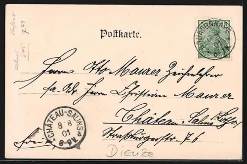 AK Dieuze, Rue des Halles