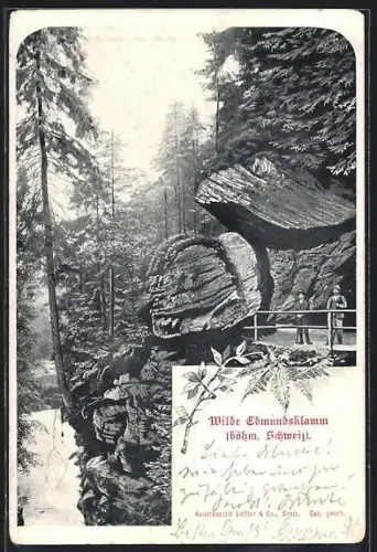 AK Wilde Edmundsklamm /Böhm. Schweiz, Panorama mit Ausflüglern