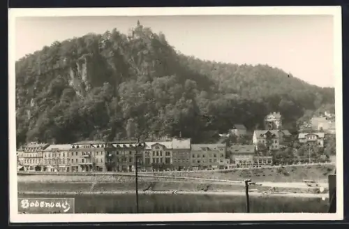 AK Bodenbach, Uferpartie mit Schloss