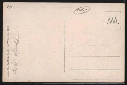 AK Salesel a. d. Elbe, Teilansicht mit Bahngleis