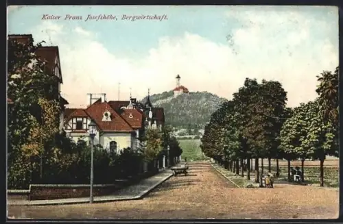 AK Leitmeritz, Strassenpartie mit Blick zur Kaiser Franz Josefshöhe und der Bergwirtschaft