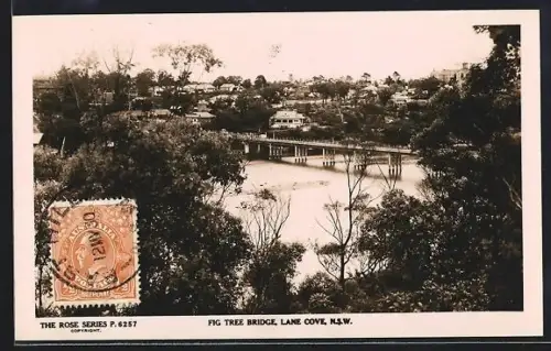 AK Lane Cove, Fig Tree Bridge