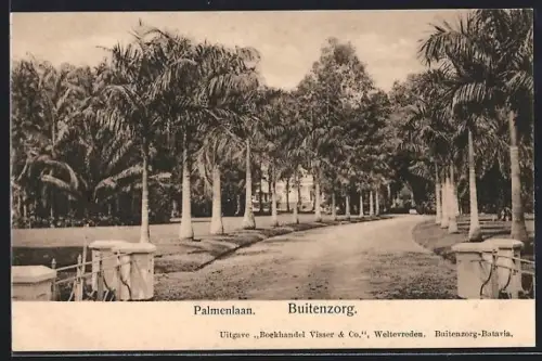 AK Buitenzorg, Palmenlaan
