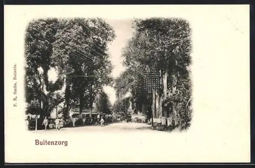 AK Buitenzorg, Panorama