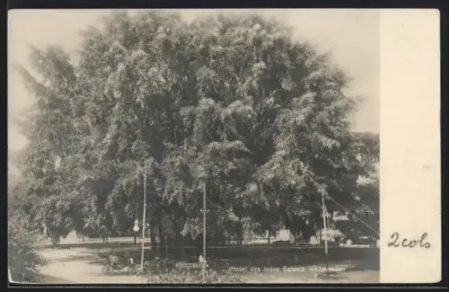 AK Weltevreden, Hotel des Indes Batavia