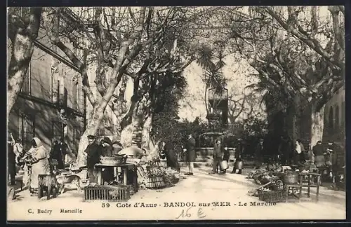 AK Bandol sur Mer, Le Marché animé sous les arbres majestueux