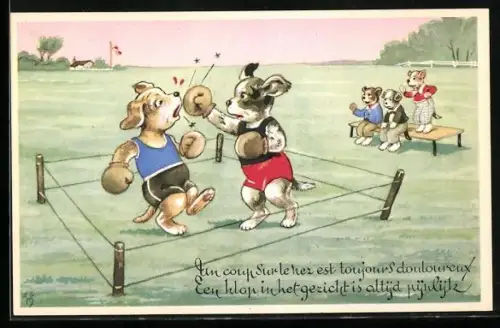 Künstler-AK Willi Scheuermann: Un coup sur le hez est toujours douloureux..., Boxende Hunde
