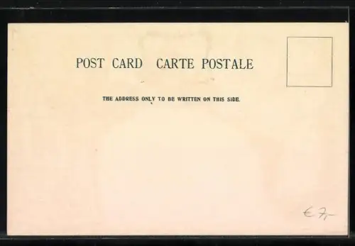 Lithographie Briefmarken und Wappen von Trinidad