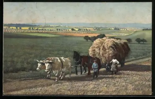 AK Photochromie NR 2251: Bauern transportieren Heu mit Ochsen-Pferdegespann