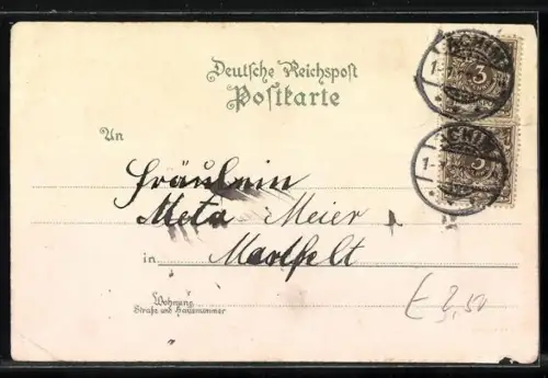 Lithographie Neustadt /Orla, Halbporträts von Debütantinnen in weissen Ballkleidern und Blüten