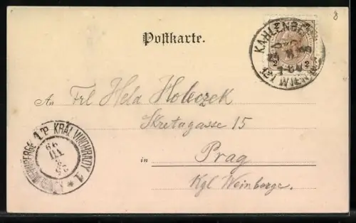 Lithographie Kahlenberg, Hotel, Aussichtsturm, Zahnradbahn System Rigi