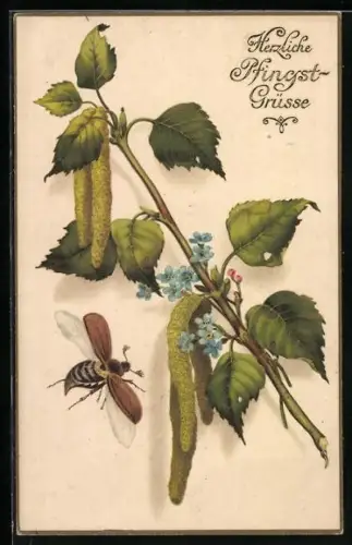 AK Maikäfer am blühenden Zweig