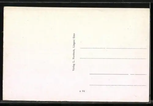 AK Lingen, Totalansicht