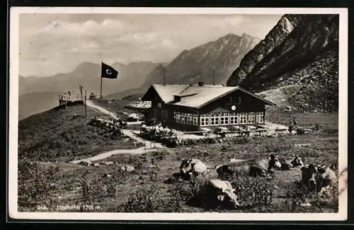 AK Garmisch, Gasthof Hochalm mit  und Kühen