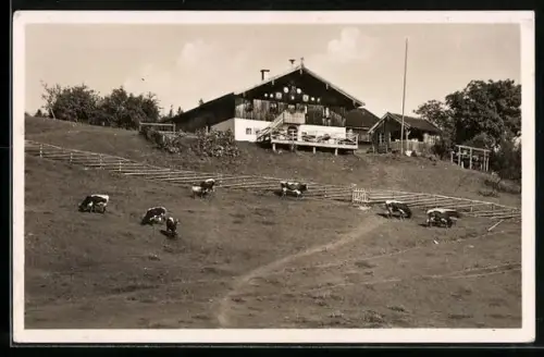 AK Bad Reichenhall, Weg zur Neubichler-Alm a. d. Högl