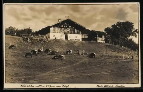 AK Piding, Gasthaus Neubichler-Alm