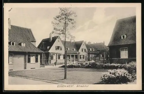 AK Essen-West, Alfredshof mit Park