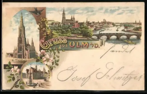 Lithographie Ulm a. D., Münster, Donaupartie