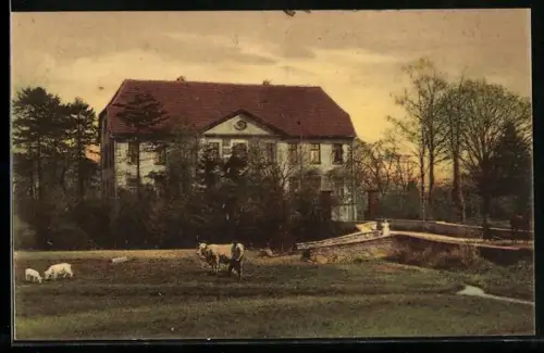 AK Bad Rothenfelde /Teutoburger Wald, Oberförsterei Palsterkamp