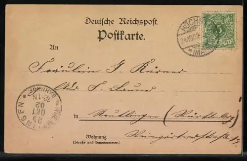 Lithographie Mainz, Dom, Theater, Rheinpartie mit Dampfer