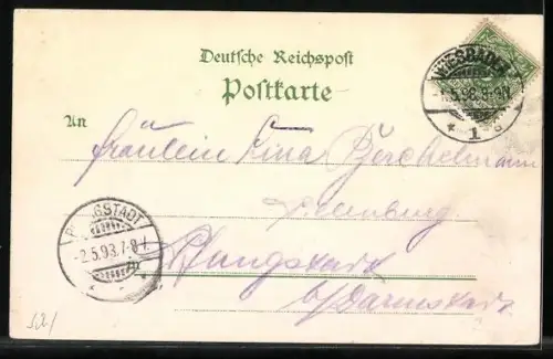 Lithographie Wiesbaden, Blick vom Neroberg aus