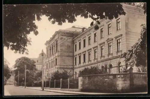 AK Freiberg / Sachsen, Strasse am Gymnasium Albertinum