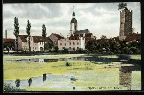 AK Triptis, Partie am Teich