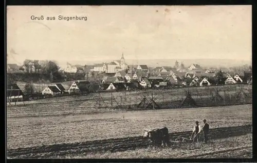 AK Siegenburg, Acker mit Pflug und Ochsen