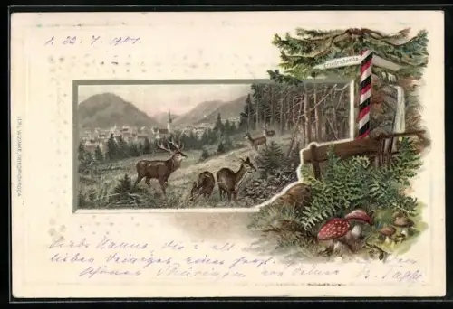 Passepartout-Lithographie Friedrichroda, Panorama, Rotwild am Waldrand