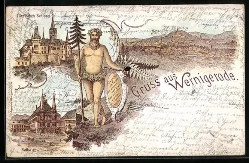 Lithographie Wernigerode, Gesamtansicht, Fürstliches Schloss, das Rathaus