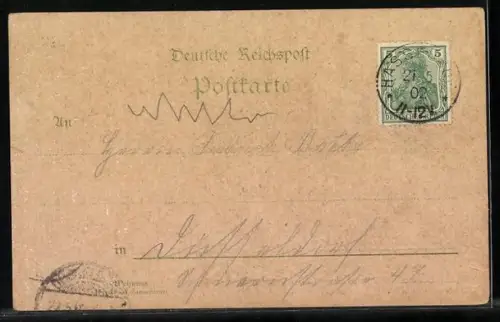 Lithographie Wernigerode, Gesamtansicht, Fürstliches Schloss, das Rathaus