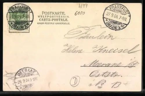 AK Frankfurt a. M., Steinweg mit Hotel zum Schwan und Kirche