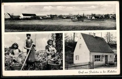 AK Parleiten in der Holledau, Geschäft, Bauern bei der Weinlese, Ortspartie