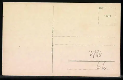 AK Säckingen am Rhein, Gasthof zum Schützen in der Steinbrückstrasse