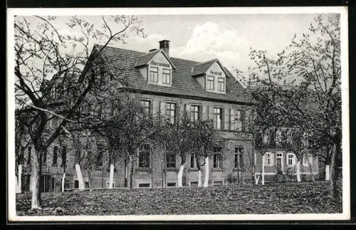 AK Wörth a. M., Carl Borromäusanstalt mit Haushaltungsschule