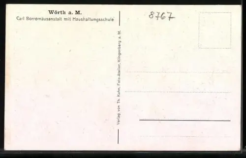 AK Wörth a. M., Carl Borromäusanstalt mit Haushaltungsschule