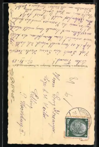 AK Birkenstein, Gasthaus Lehenmühle, Ortsansicht aus der Vogelschau