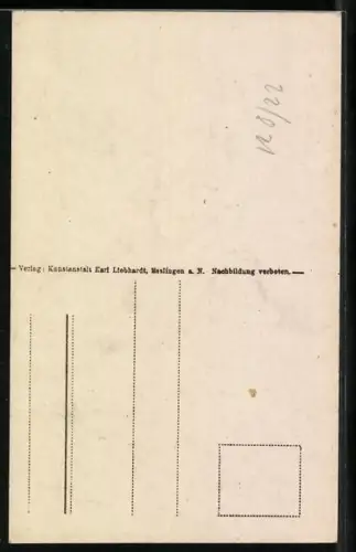 AK Esslingen / Neckar, Strassenflucht am Postmichelbrunnen