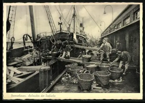 AK Bremerhaven, Anlanden der Seefische