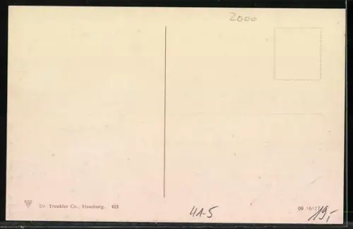 AK Hamburg, Turbinendampfer Kaiser auf hoher See