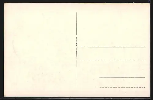 AK Wertheim / Main, Engelsbrunnen