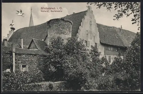 AK Michelstadt i. O., Kellerei, Gartenseite